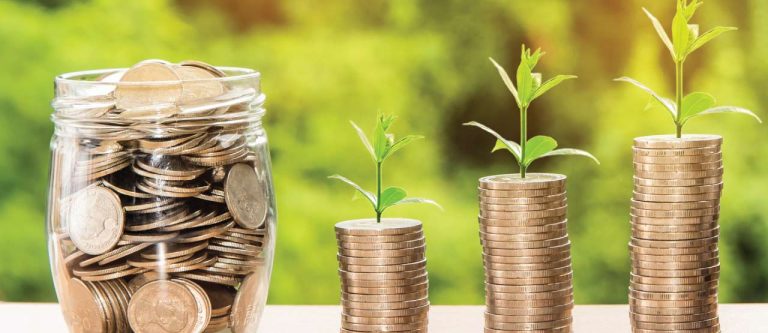 Growing businesses need to look at Robust financial management systems