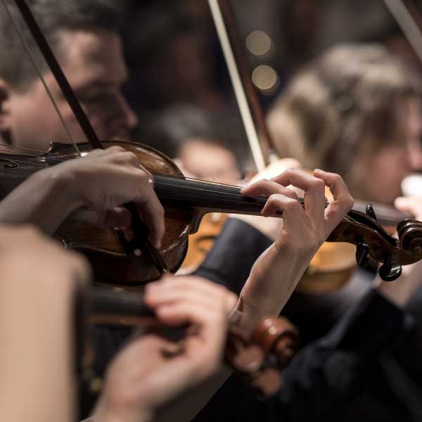 Business process automation with the orchestrator