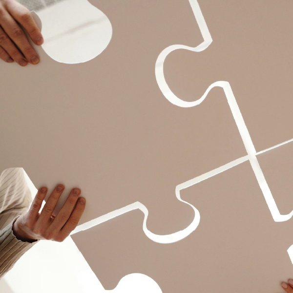 consolidated or Integrated information systems vs point solutions
